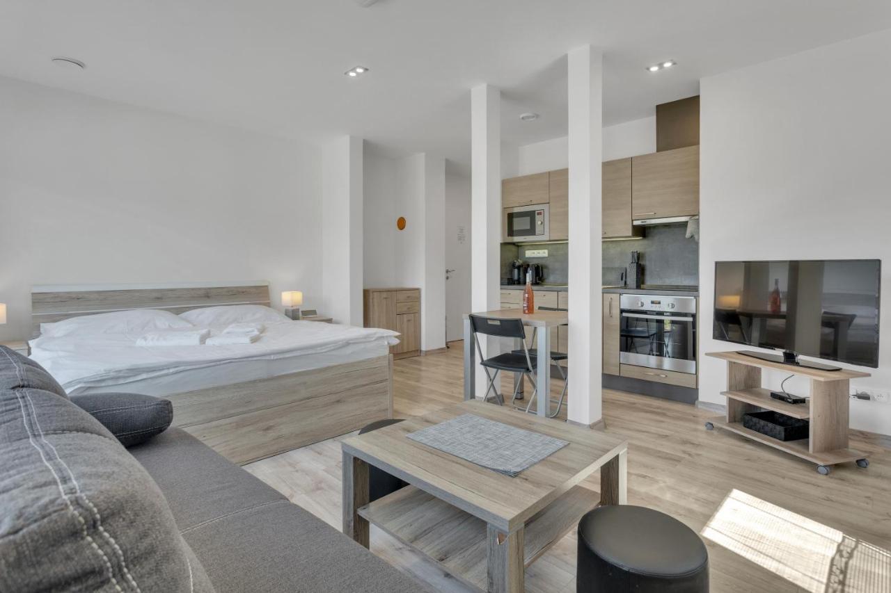 Family Apartments Klinovec Loučná pod Klínovcem 外观 照片