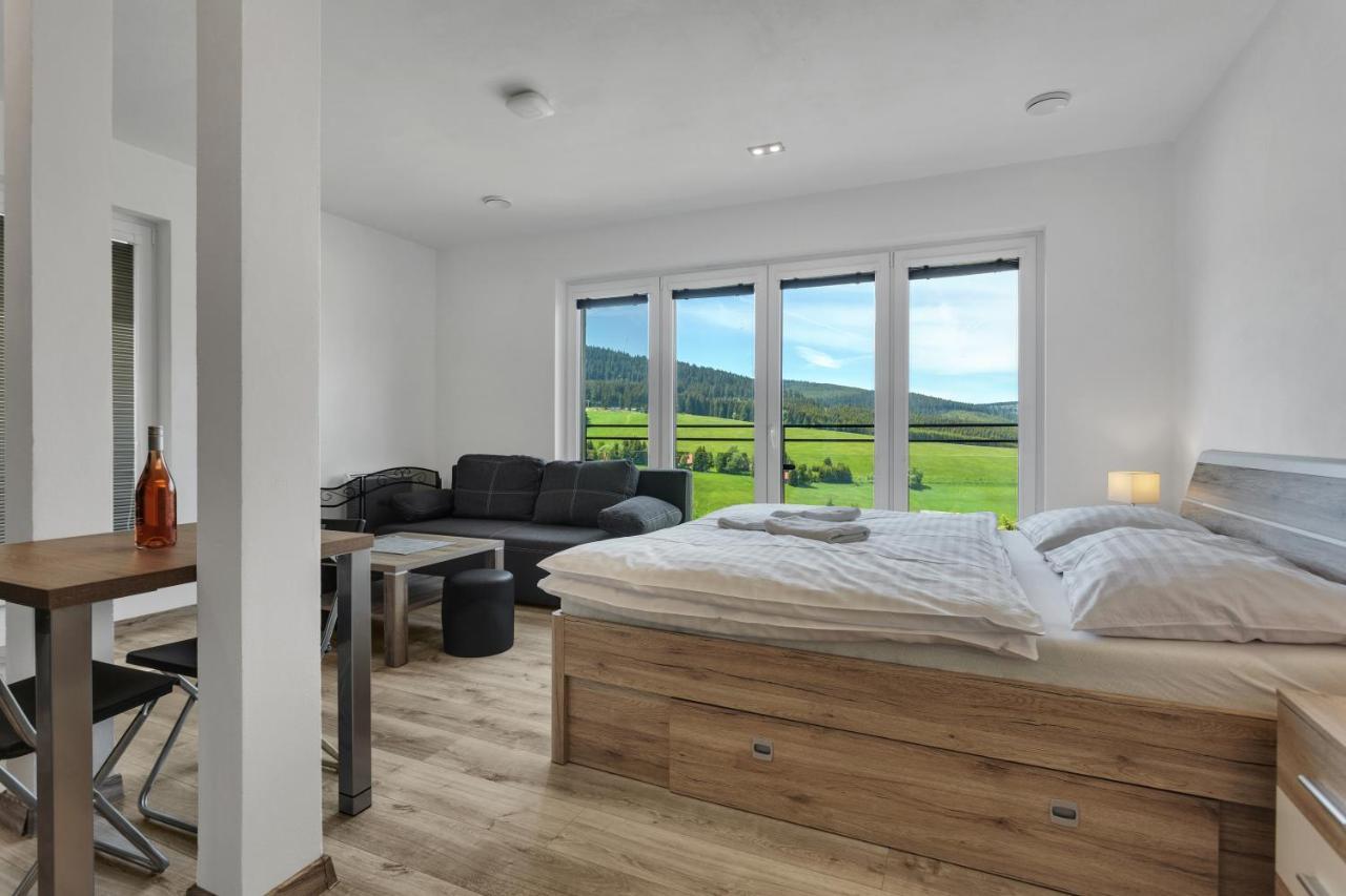 Family Apartments Klinovec Loučná pod Klínovcem 外观 照片