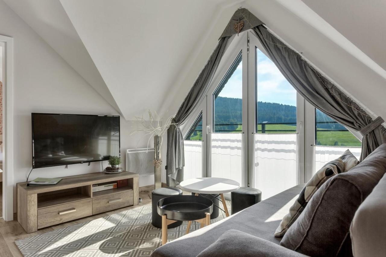 Family Apartments Klinovec Loučná pod Klínovcem 外观 照片