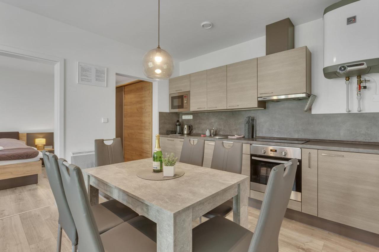 Family Apartments Klinovec Loučná pod Klínovcem 外观 照片