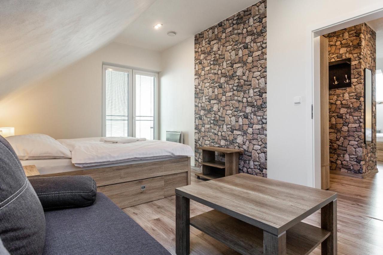 Family Apartments Klinovec Loučná pod Klínovcem 外观 照片